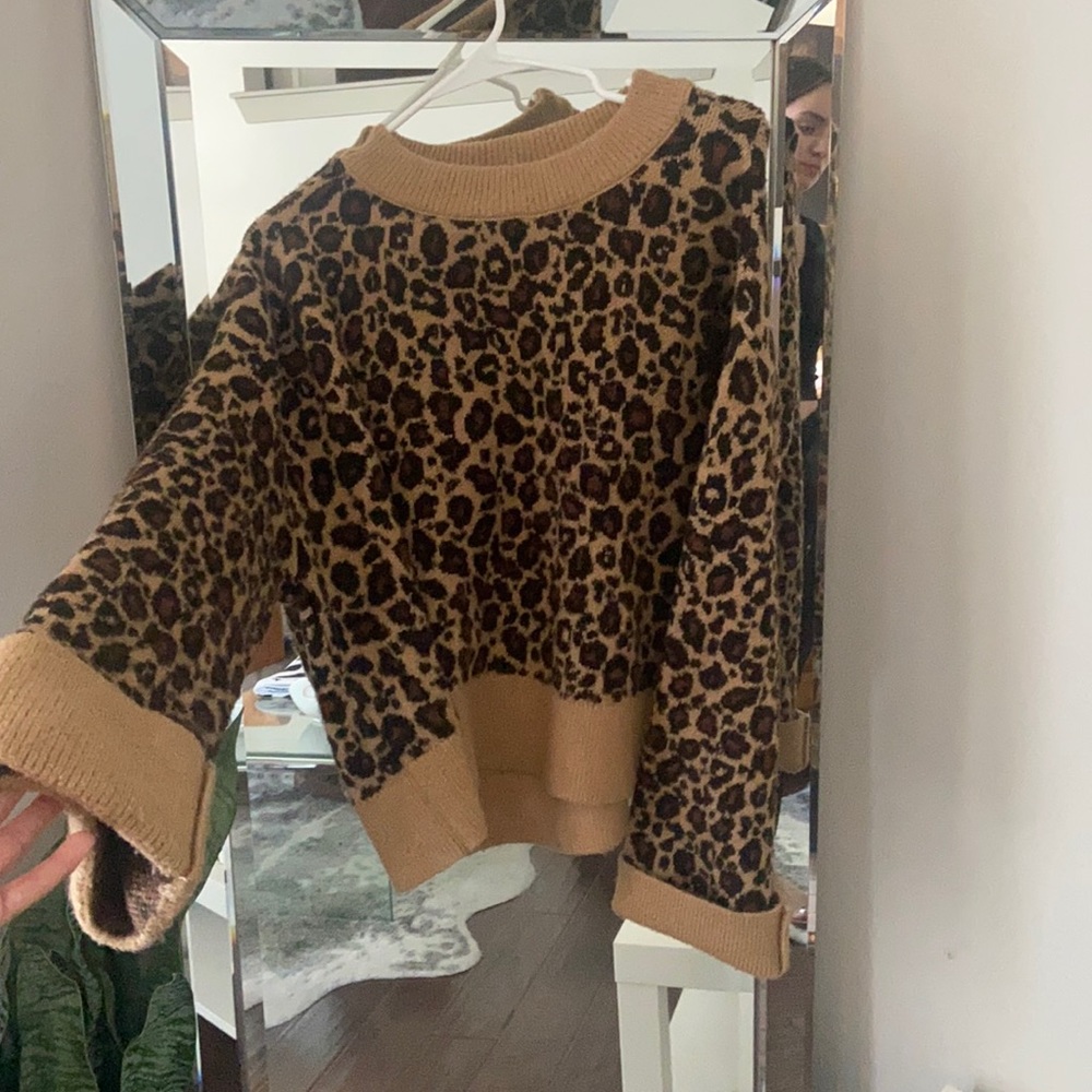 Zara Knit Cheetah Sweater